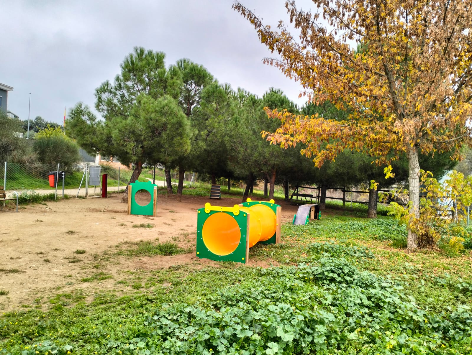 Circuito Agility, Saludes Parques, San Agustín de Guadalix, Parque canino, parque para perros